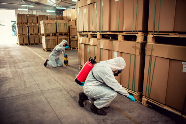 Best Wasp Removal Services  in Marcellus, MI