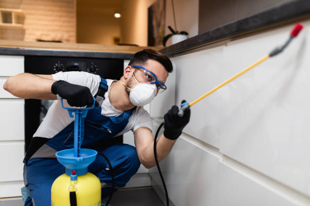 Best Rat Extermination Near Me  in Marcellus, MI