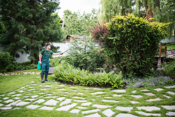 Best Mosquito Control Services  in Marcellus, MI