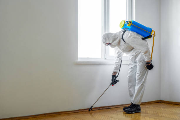 Best Pest Control for Restaurants  in Marcellus, MI