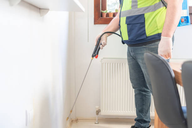 Best Affordable Pest Control Services  in Marcellus, MI