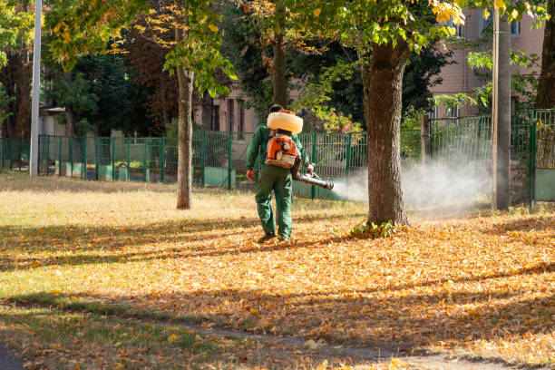 Best Spider Control Near Me  in Marcellus, MI