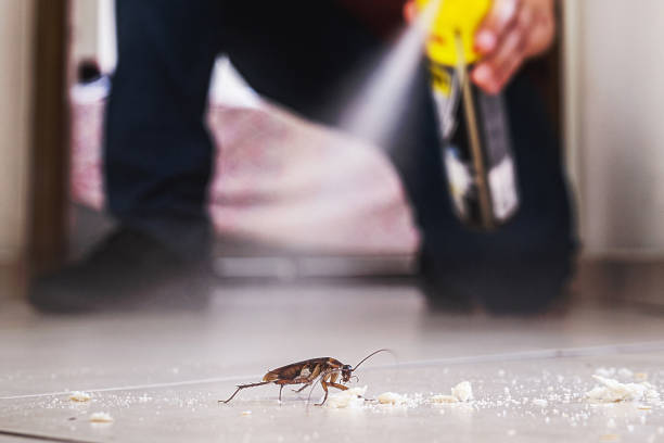 Best Pest Control Near Me  in Marcellus, MI
