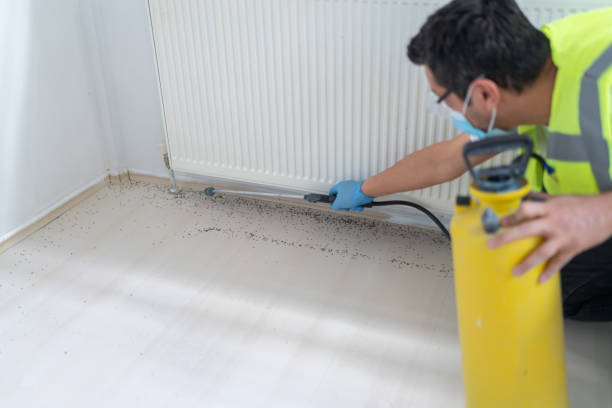 Best Pest Inspection Near Me  in Marcellus, MI