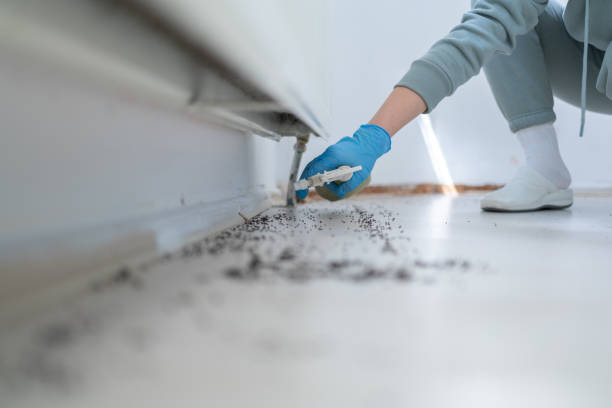 Best Rodent Control Near Me  in Marcellus, MI
